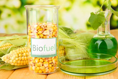 Histon biofuel availability